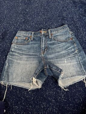 Madewell Distressed Blue Jean Shorts